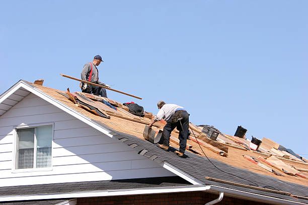 Best Asphalt Shingle Roofing  in Woodridge, IL