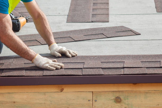 Best Roof Moss and Algae Removal  in Woodridge, IL